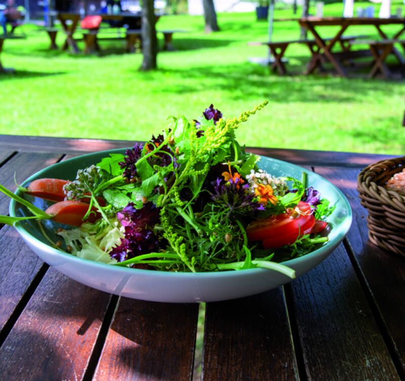 Eine Schüssel mit gemischtem Blattsalat, Tomatenspalten und essbaren Blüten auf einem Holztisch im Freien